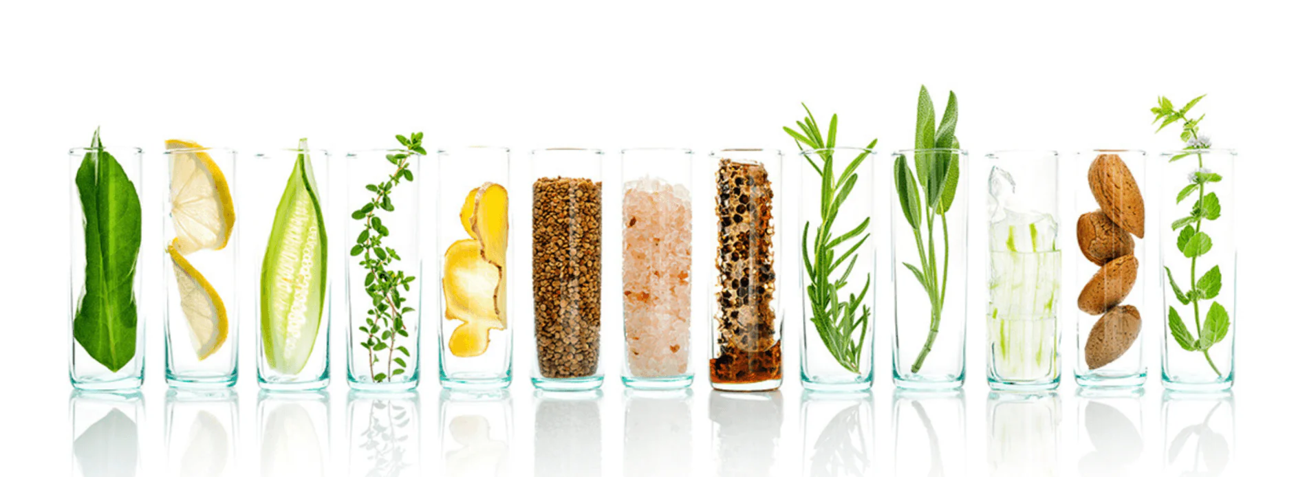 Master Your Cellular Longevity